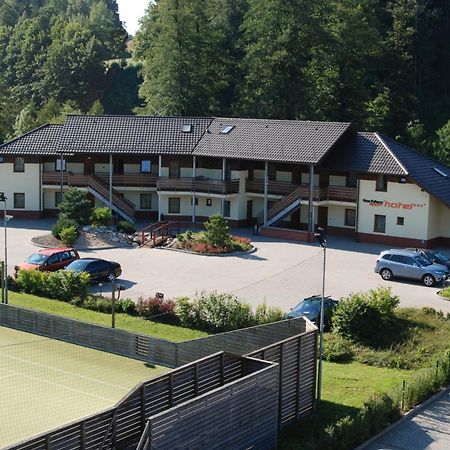 Tx Hotel Hostinné Exterior foto